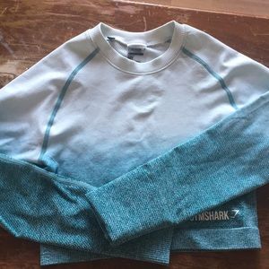 Gymshark ombré seamless long sleeve crop top